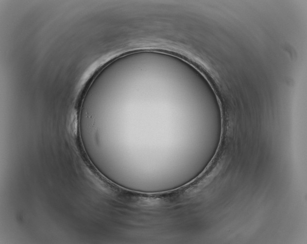 X0000113151509200909181740