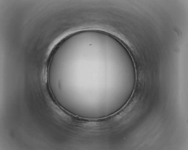 X0000113151510200909181740