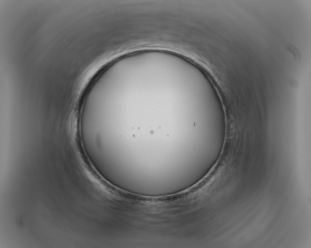 X0000113151511200909181740