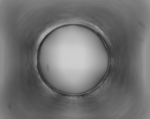 X0000113151512200909181740