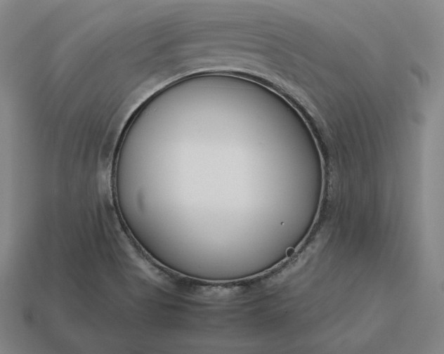 X0000113151513200909181740