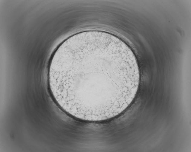 X0000113151514200909181740