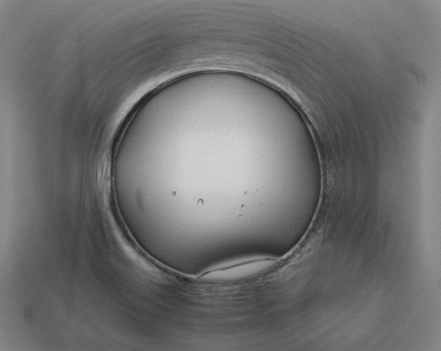 X0000113151515200909181740