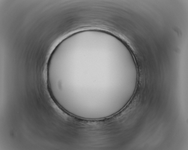 X0000113151516200909181740