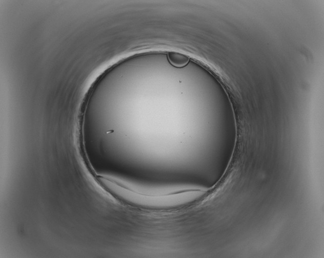 X0000113151518200909181740