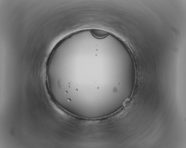 X0000113151519200909181740