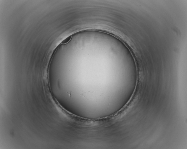 X0000113151521200909181740