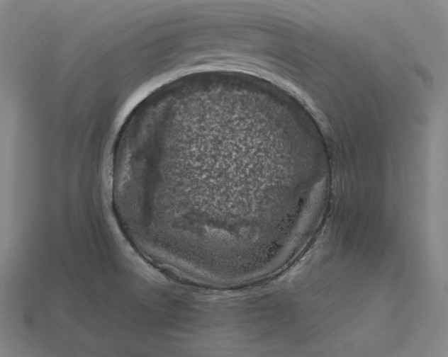 X0000113151522200909181740