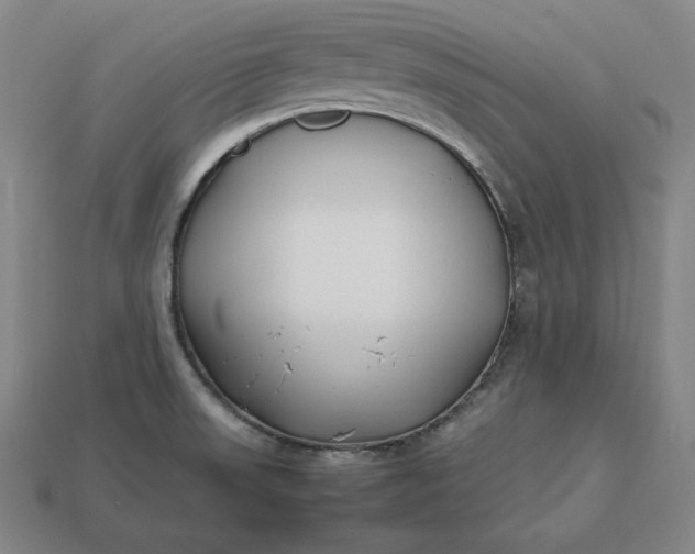 X0000113151523200909181740