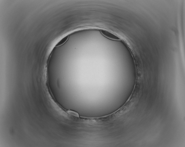 X0000113151524200909181740