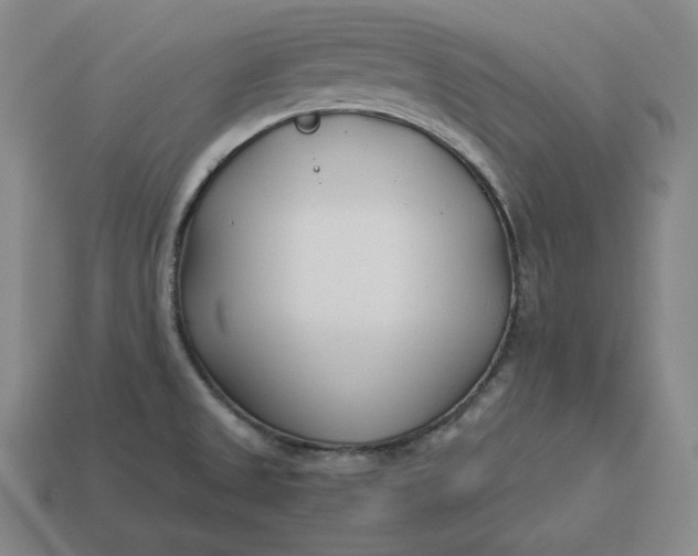 X0000113151525200909181740