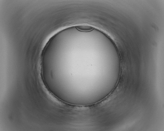 X0000113151526200909181740