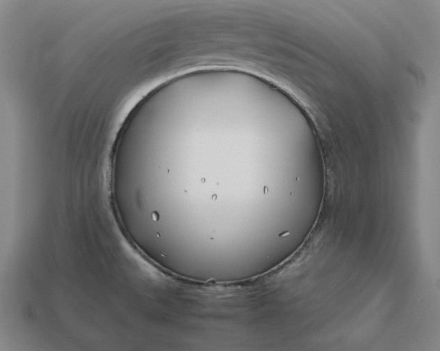 X0000113151527200909181740