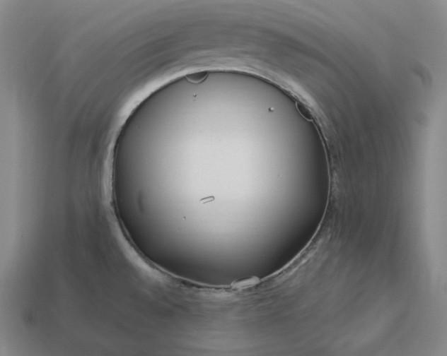 X0000113151528200909181740