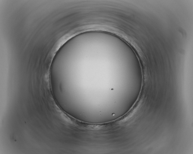 X0000113151529200909181740