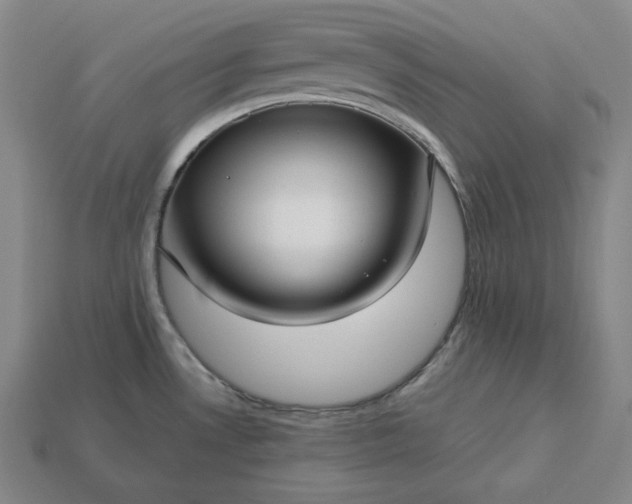 X0000113151530200909181740