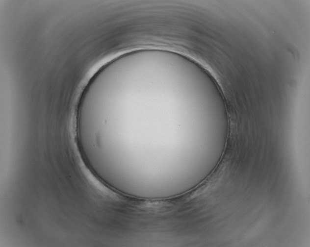 X0000113151531200909181740