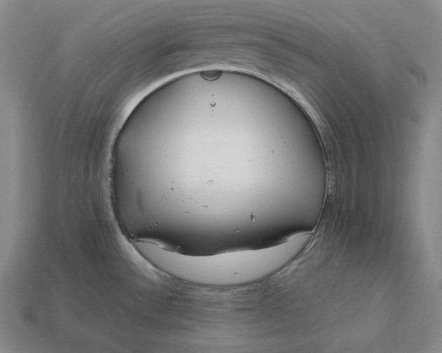 X0000113151532200909181740