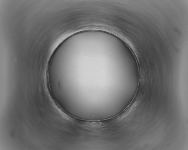 X0000113151533200909181740