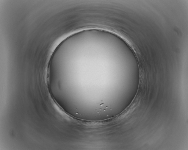 X0000113151535200909181740