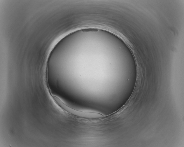 X0000113151536200909181740