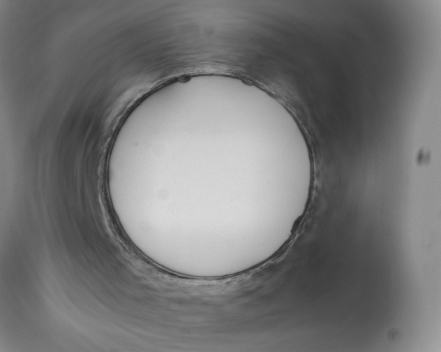 X0000113150001200909251339