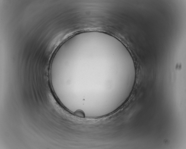 X0000113150002200909251339