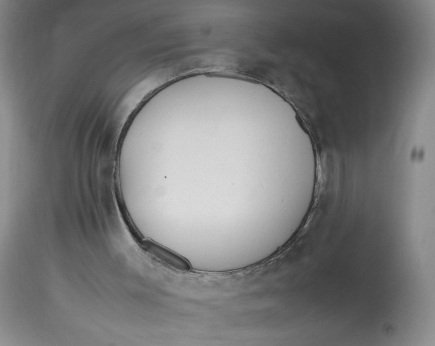 X0000113150003200909251339