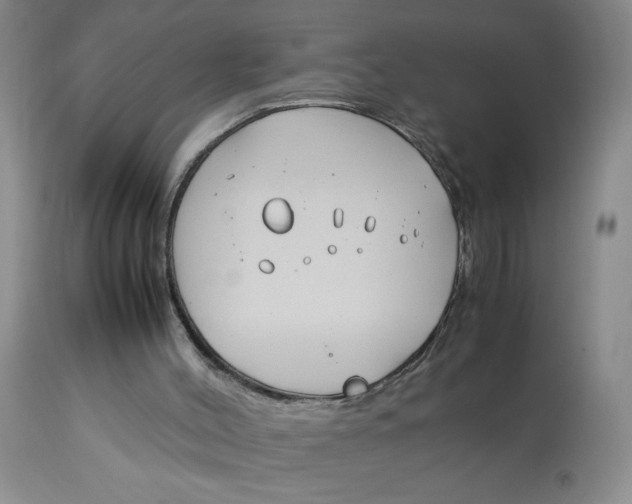 X0000113150004200909251339