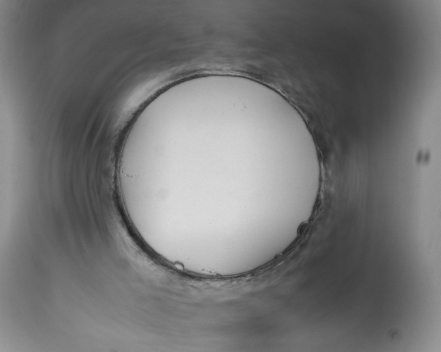 X0000113150005200909251339