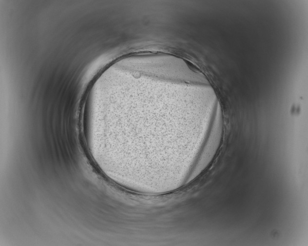 X0000113150006200909251339