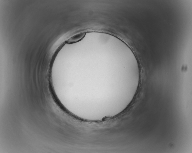 X0000113150007200909251339