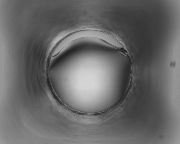 X0000113150008200909251339