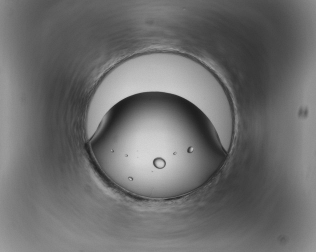 X0000113150009200909251339