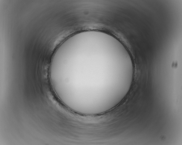 X0000113150010200909251339