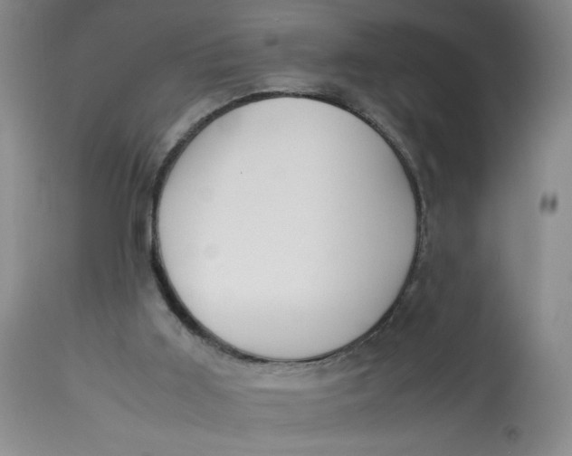 X0000113150011200909251339