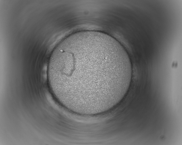 X0000113150014200909251339