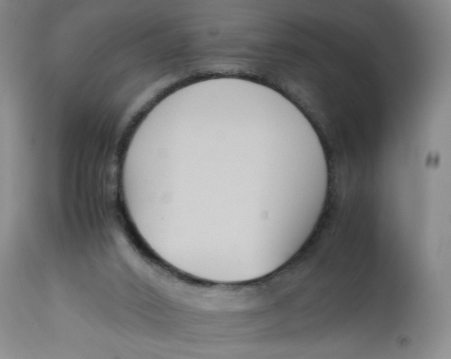 X0000113150016200909251339