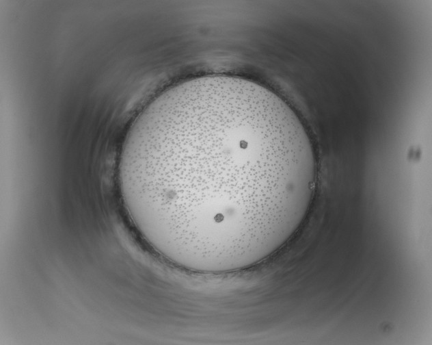 X0000113150018200909251338