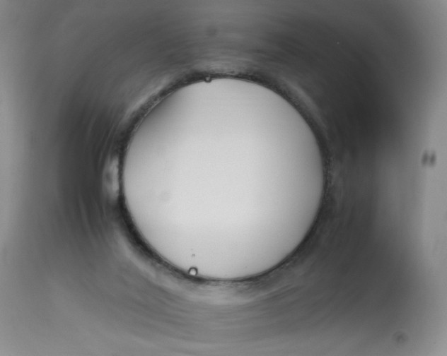 X0000113150020200909251338