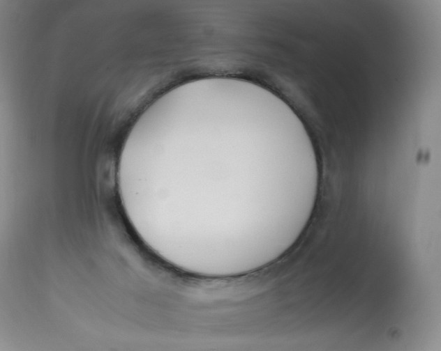 X0000113150021200909251338