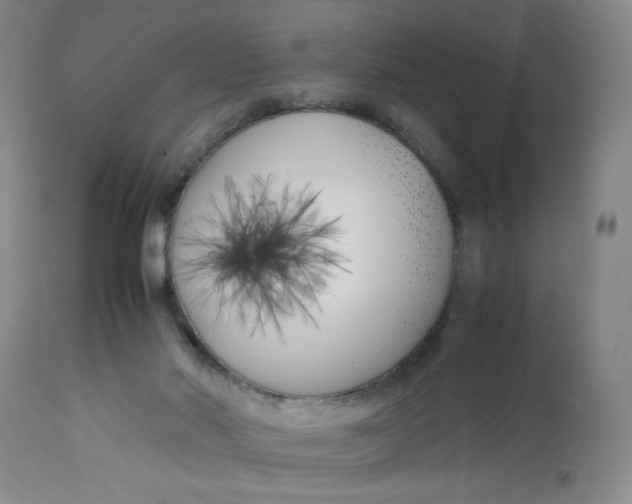 X0000113150022200909251338