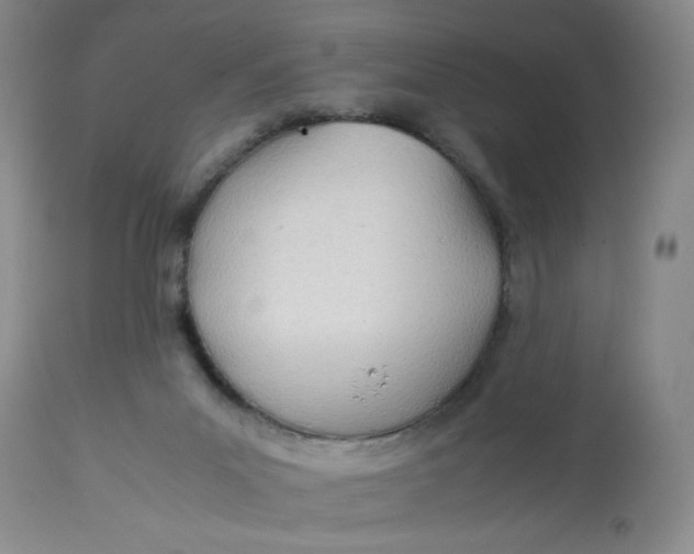 X0000113150023200909251338