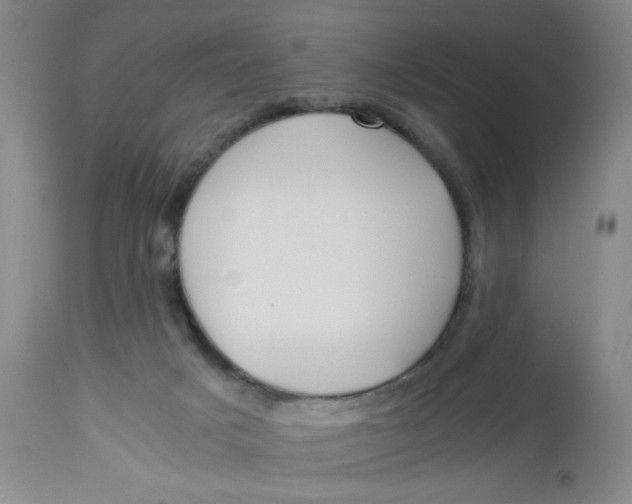 X0000113150025200909251338