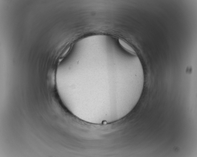 X0000113150027200909251338