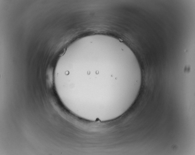 X0000113150028200909251338