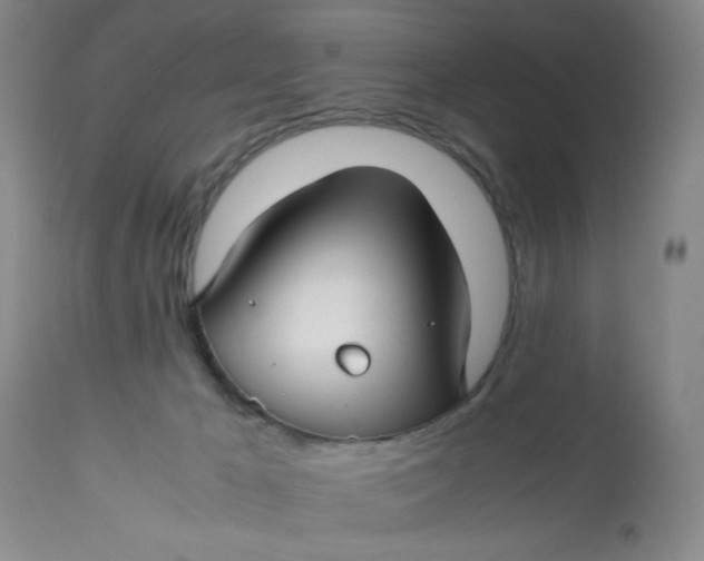 X0000113150029200909251338