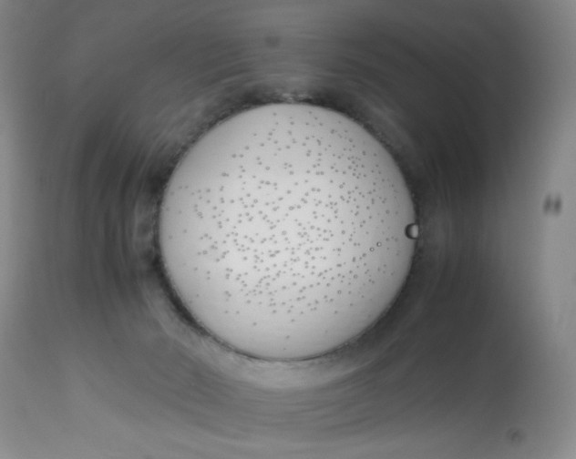 X0000113150030200909251338