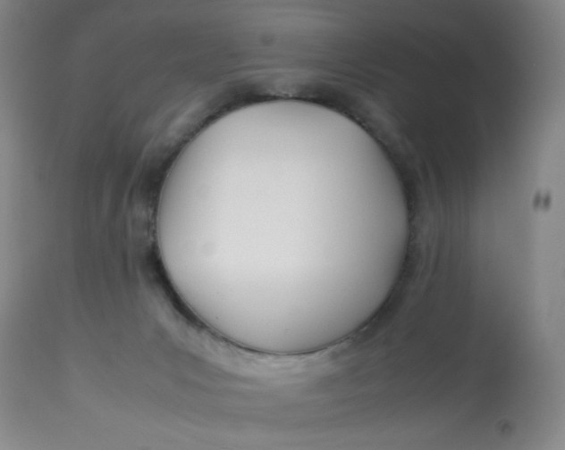 X0000113150031200909251338