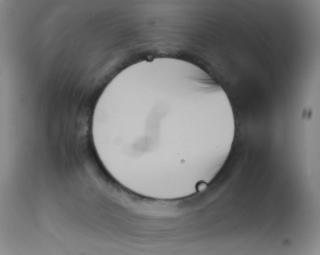 X0000113150032200909251338